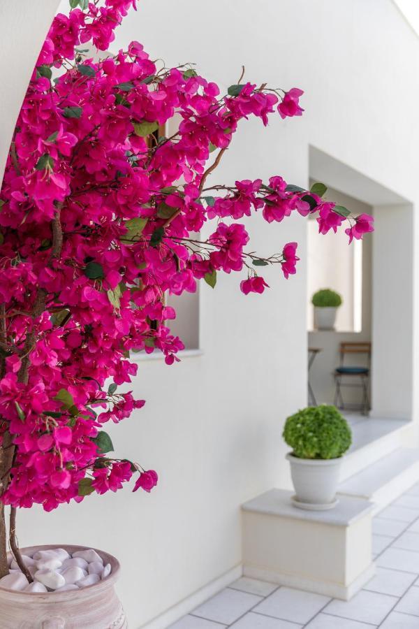 100 Steps - Harmony Apartman Naxos City Kültér fotó